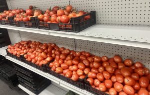 Shelves of tomatoes